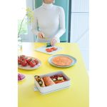 لانچ باکس بزرگ خاکستری روشن برابانتیا
