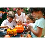 قالب سیلیکونی 3D کیک کدو تنبل هالووین لکوئه - Image 5